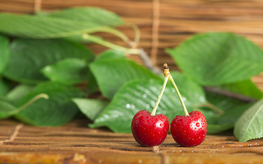 Image showing Cherry branch with leaves