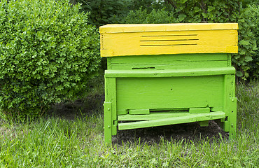 Image showing Green beehive