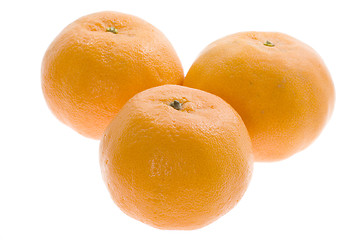 Image showing Three mandarin oranges

