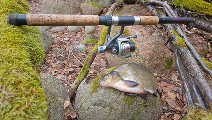 Image showing bream from the far lake