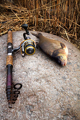 Image showing bream from the far lake