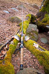 Image showing the perch from the forest lake