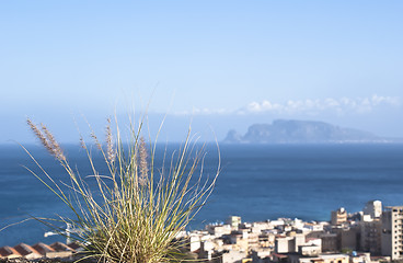 Image showing Palermo, town on the coast