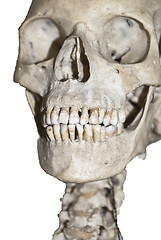 Image showing Human skull  isolated 