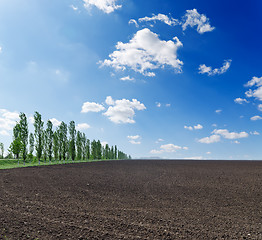 Image showing black plowed field under blue sky