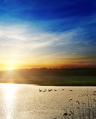 Image showing dramatic sunset over river with swans