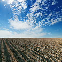 Image showing black cultivated field and blue sky