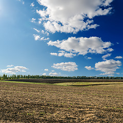 Image showing black ploughed field under deep blue sky with clouds