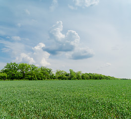 Image showing cloudy sky over green field