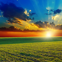 Image showing sunset over agricultural green field