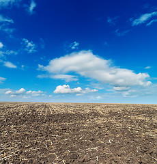 Image showing black cultivated field and blue sky