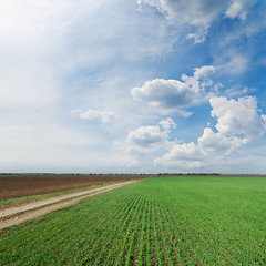 Image showing green field with dirty road under cloudy sky