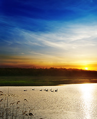 Image showing dramatic sunset over river with swans