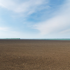 Image showing black ploughed field in spring under cloudy sky