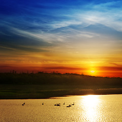 Image showing dramatic sunset over river with swans