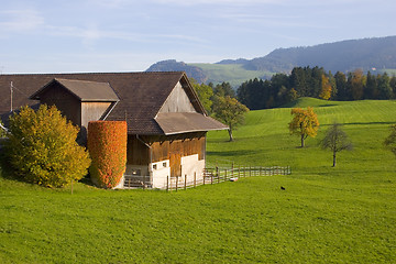 Image showing Swiss Farm