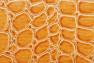Image showing Tint Orange Crocodile Skin Texture