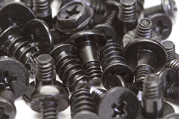 Image showing Metallic screws