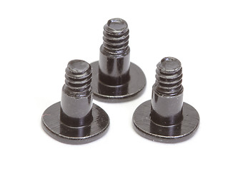 Image showing Metallic screws
