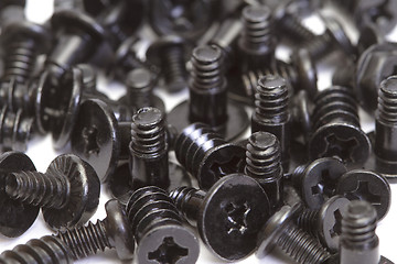 Image showing Metallic screws
