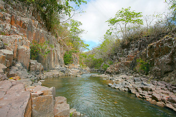 Image showing Stream in the tropical forest. 