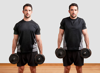 Image showing Dumbbell Shrugs