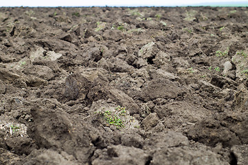 Image showing plowed field