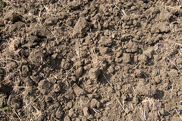 Image showing soil