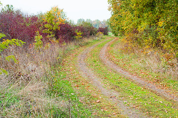 Image showing autumn way