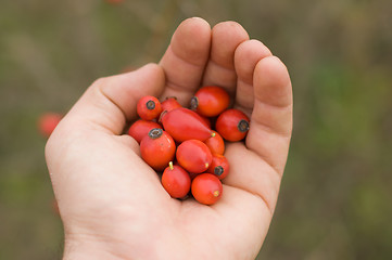 Image showing hand with hips