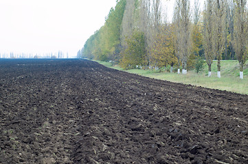 Image showing agricultural land