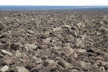 Image showing ploughed field