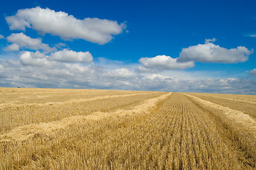 Image showing gold and blue