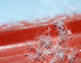 Image showing Snowcrystal