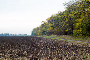 Image showing tilled soil