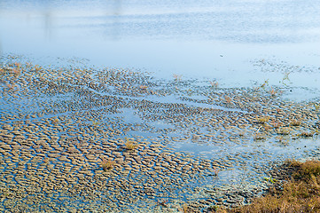 Image showing end of swampland