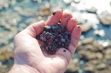 Image showing hand with soil