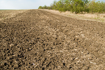 Image showing after harvesting