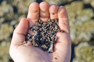 Image showing soil in hand