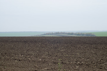 Image showing black plough-land