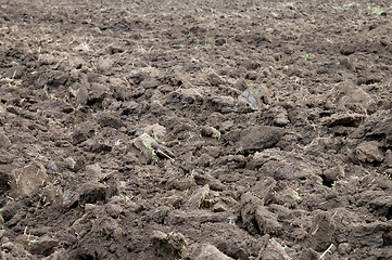 Image showing arable soil