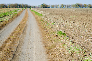 Image showing road at autumn