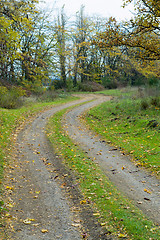 Image showing autumnal road