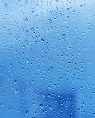 Image showing Drops of water on glass