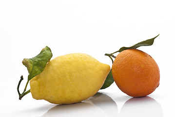 Image showing Sicilian Orange and Lemon