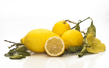 Image showing yellow sicilian fresh lemons