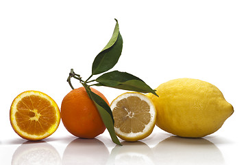 Image showing Sicilian Oranges and Lemons on white background