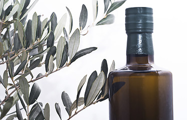 Image showing olive branch and a bottle of olive oil 