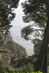 Image showing protected reserve of Mount Pilgrim