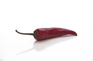 Image showing Red hot chili pepper